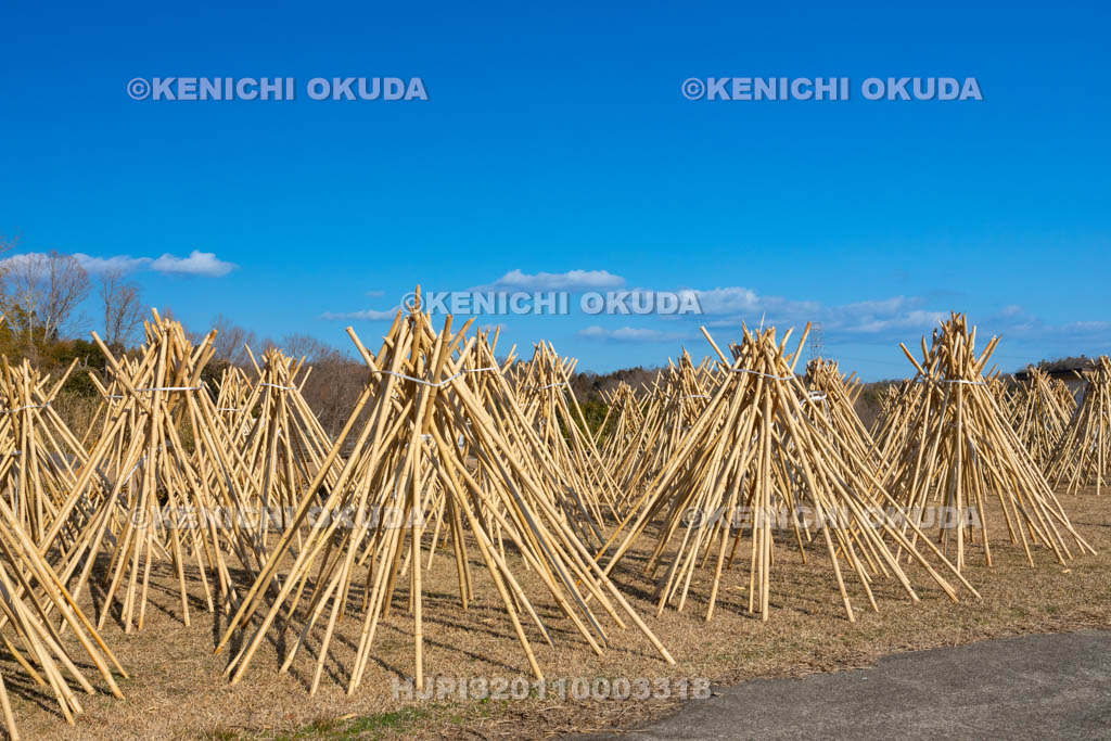 奈良県　高山竹林園　竹の寒干し