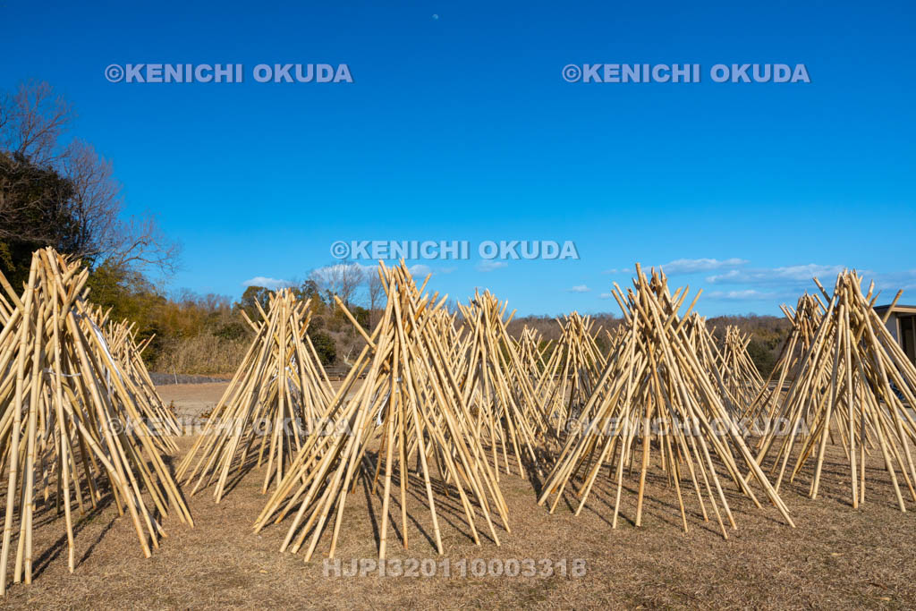 奈良県　高山竹林園　竹の寒干し