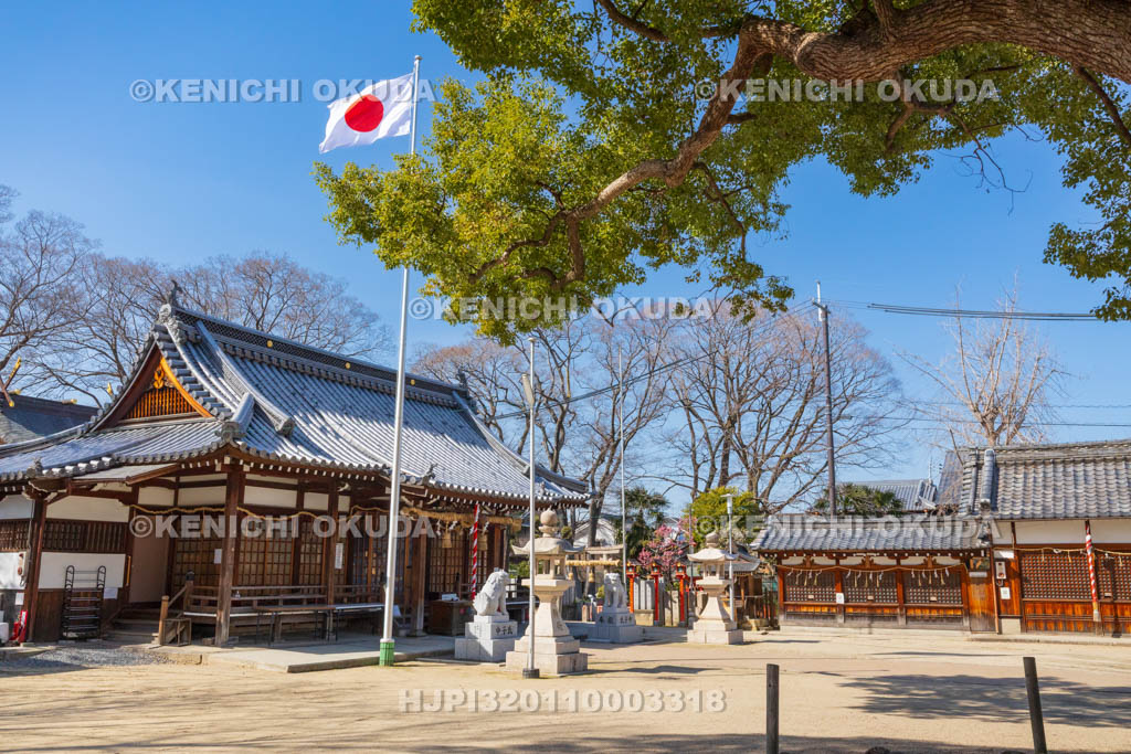大阪府　久宝寺寺内町　許麻神社　社殿