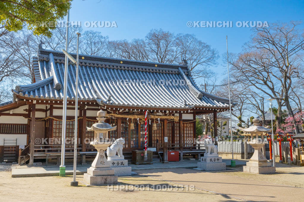 大阪府　久宝寺寺内町　許麻神社　拝殿