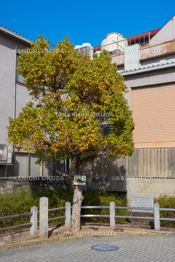 大阪府　久宝寺寺内町　久宝寺城址