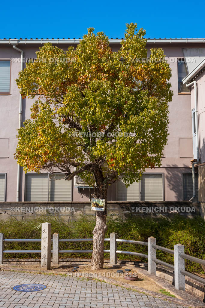 大阪府　久宝寺寺内町　久宝寺城址