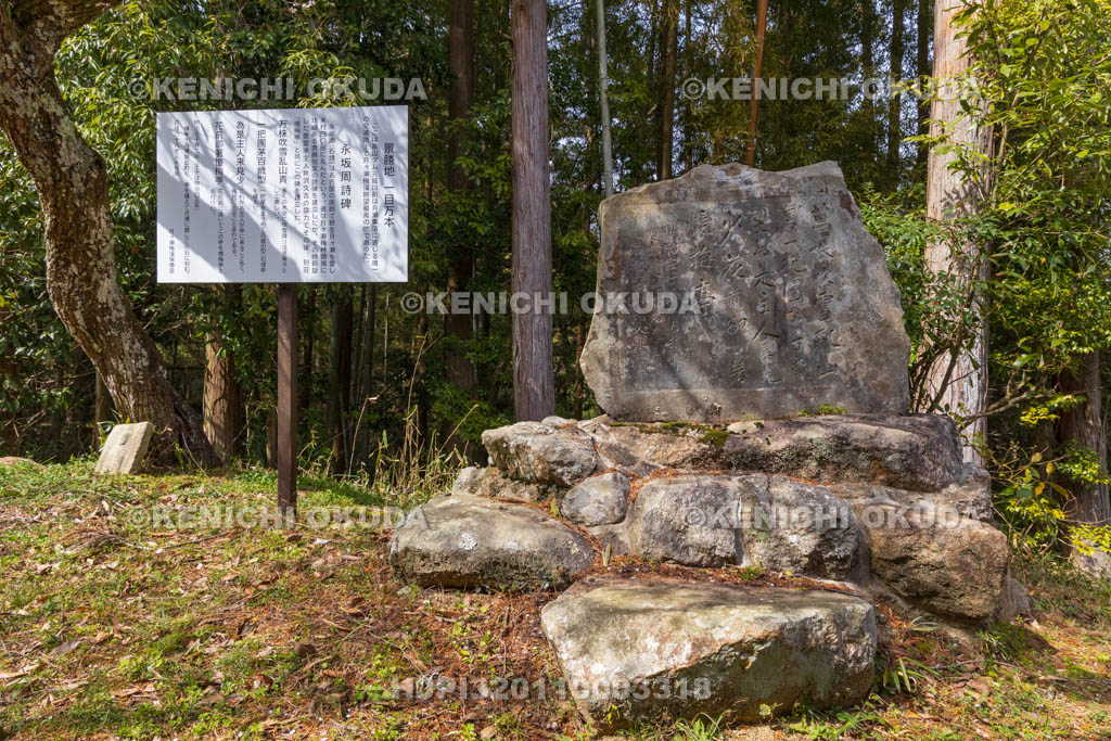 奈良県　月ヶ瀬梅渓　一目万本　永坂周詩碑