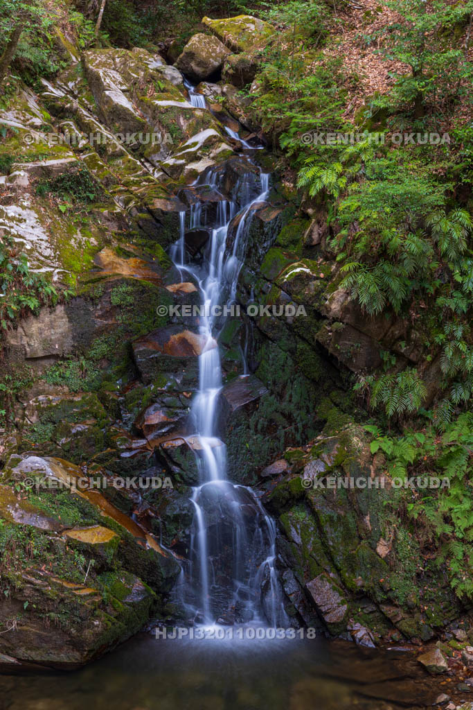 奈良県　春日山　鶯の滝