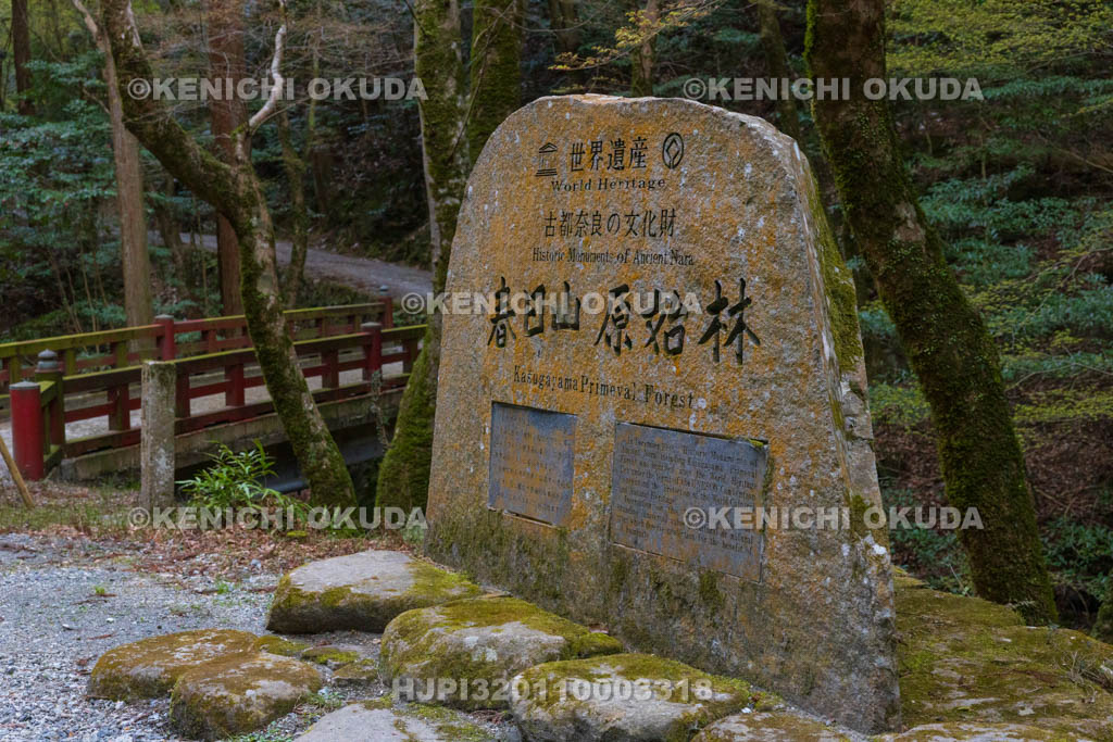 奈良県　春日山原始林　世界遺産の碑