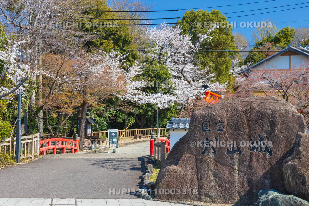 愛知県　犬山城　春の大手道コース登城口