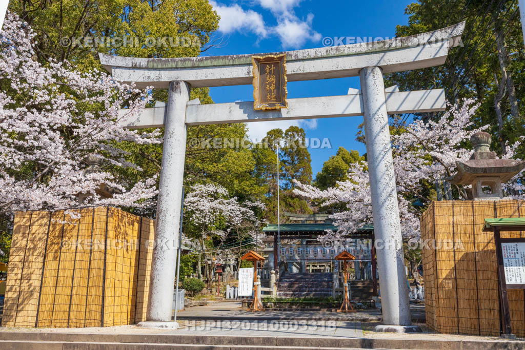 愛知県　春の針綱神社