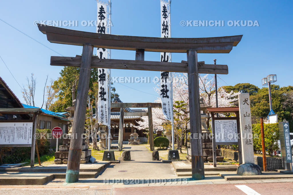 愛知県　春の犬山神社