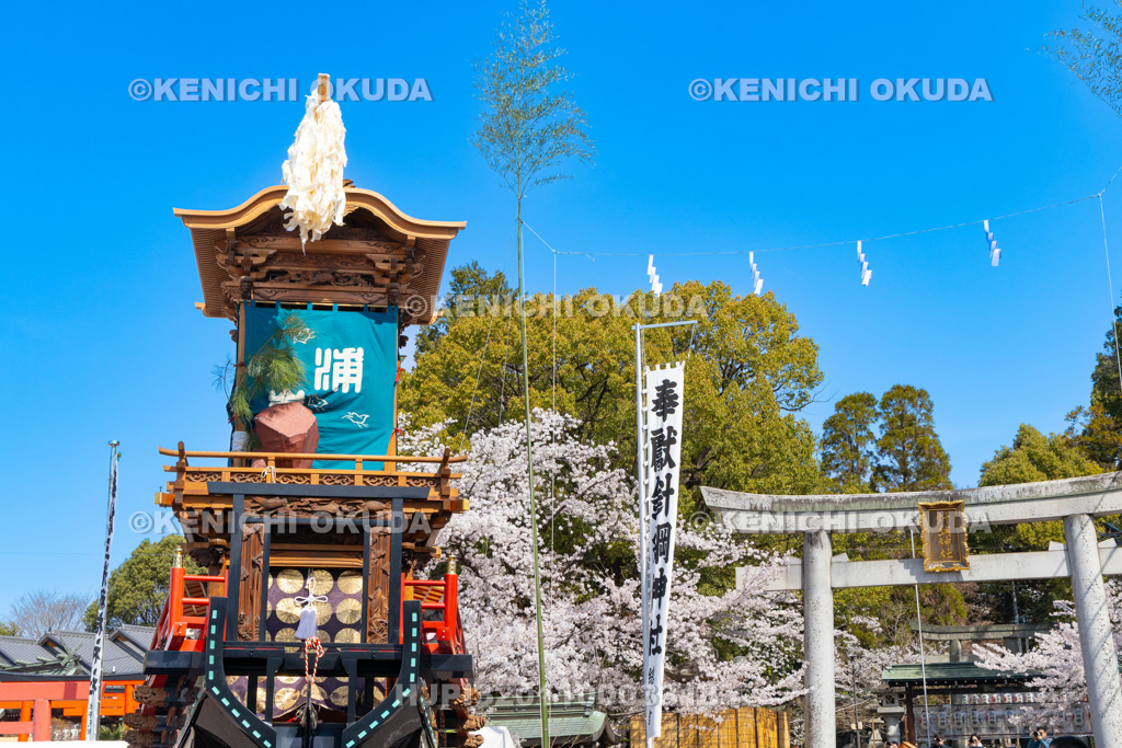愛知県 犬山祭 試楽祭 曳き回し(新町・浦嶌)