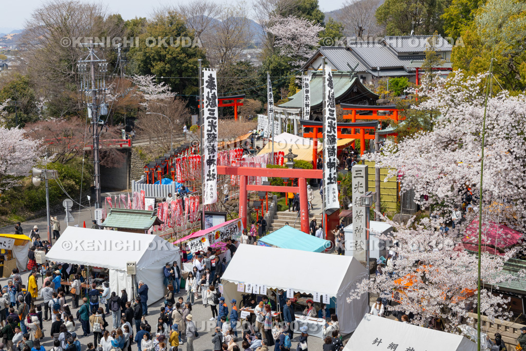 愛知県 犬山祭 試楽祭 にぎわう三光稲荷神社