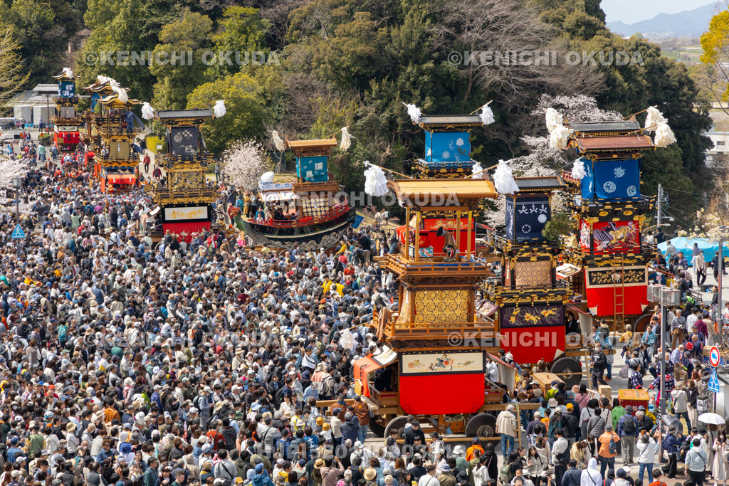 愛知県　犬山祭　試楽祭　犬山城前広場集結　からくり披露（余坂町・寳袋）