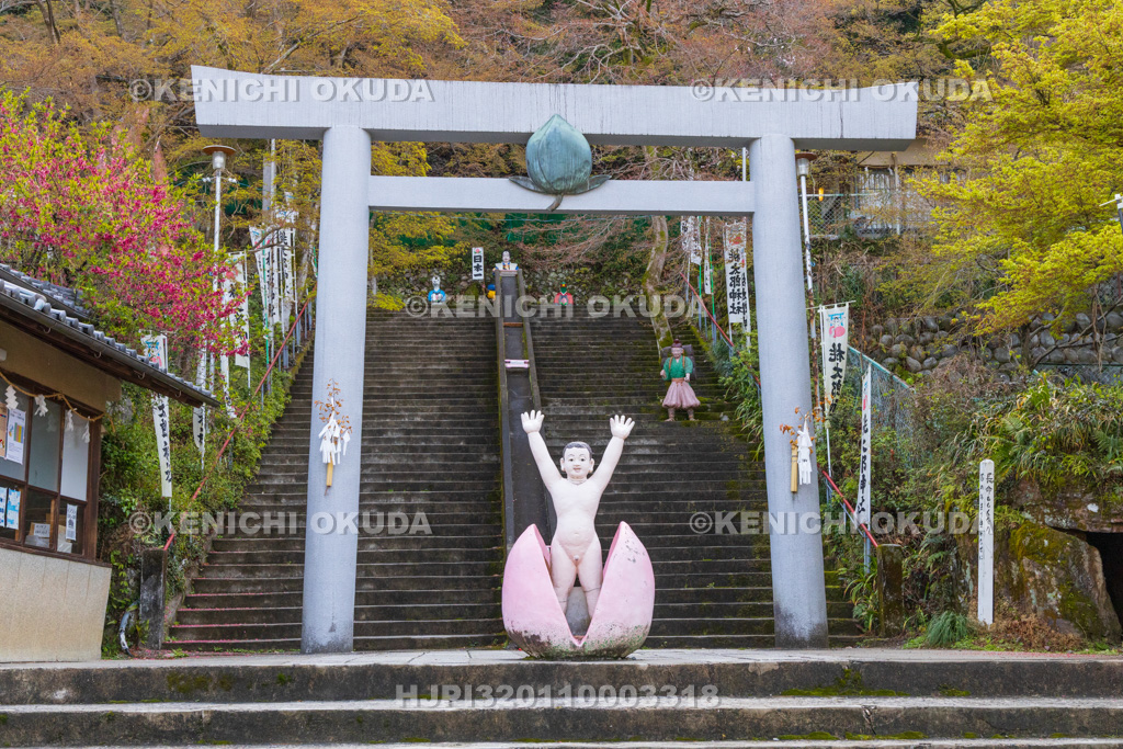 愛知県　桃太郎神社　参道　二の鳥居付近