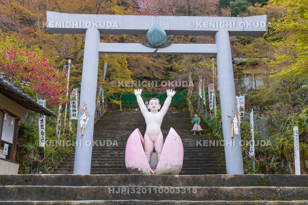 愛知県　桃太郎神社　参道　二の鳥居付近