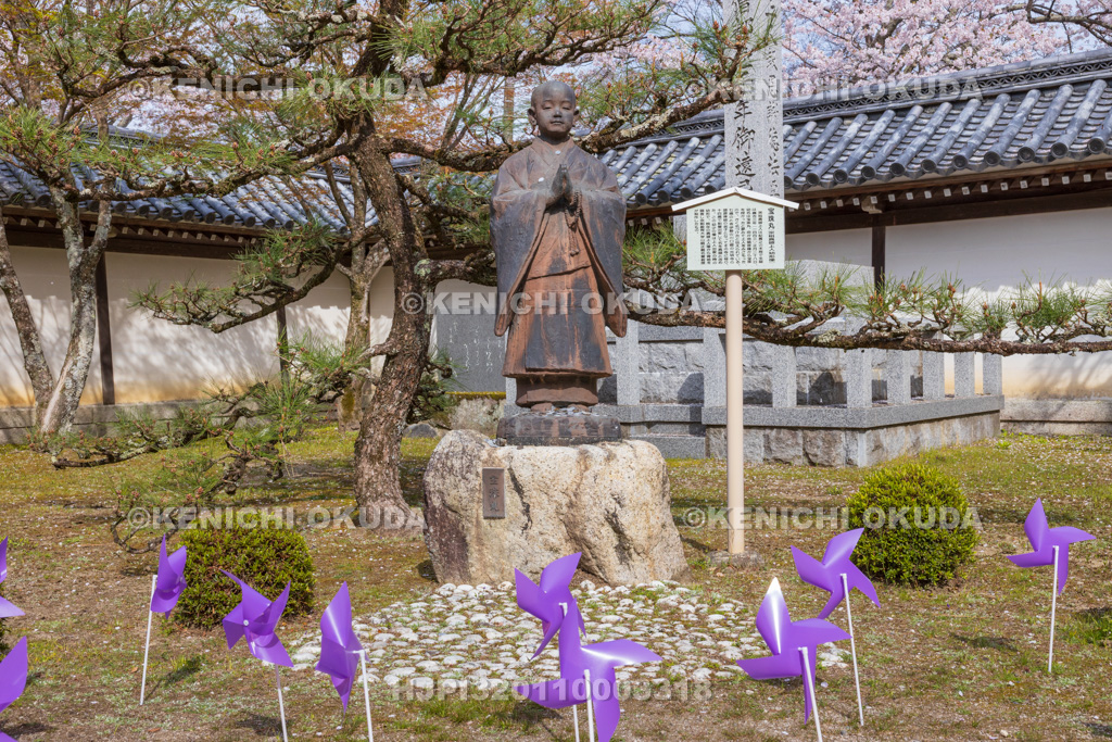 滋賀県　西教寺　宝珠丸（真盛上人幼形）像