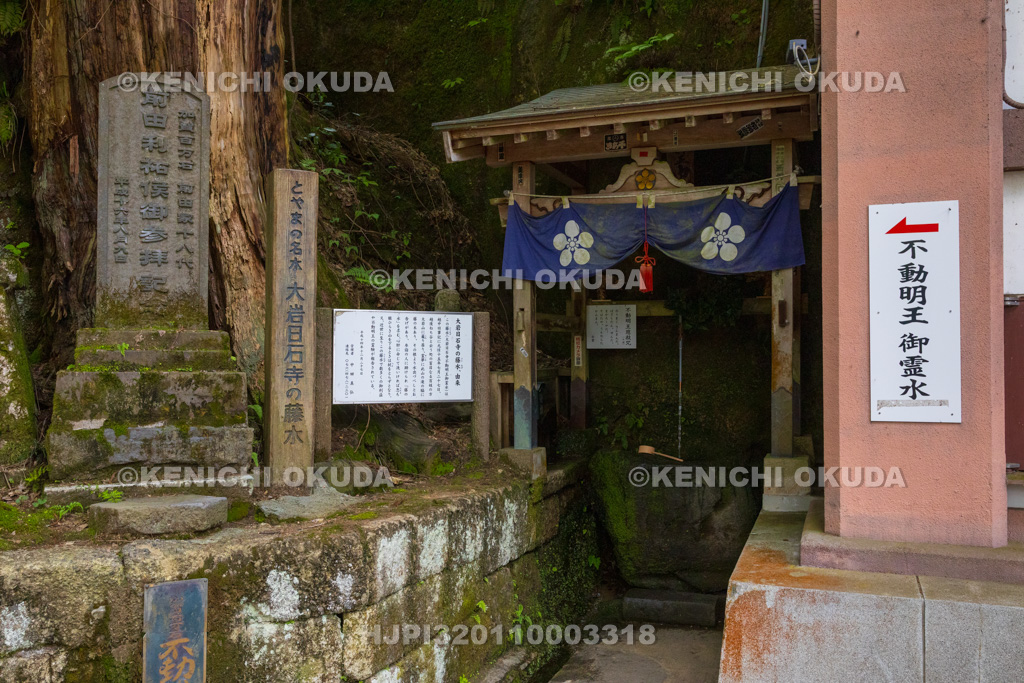 富山県　日石寺　藤水
