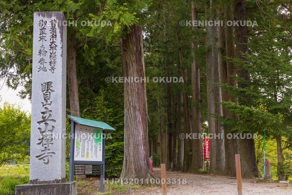 富山県　立山寺　寺号碑と栂（とが）並木