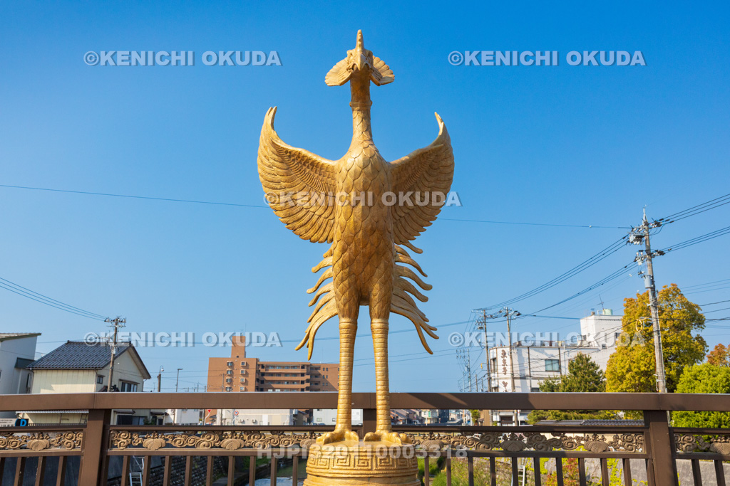 富山県 鳳鳴橋 金色鳳凰像(上流側)