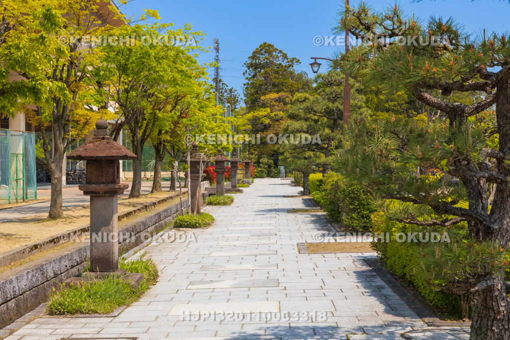 富山県 八丁道(八町道)