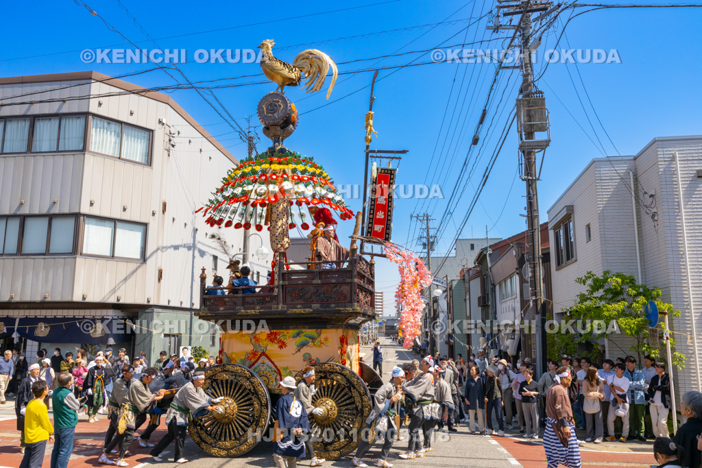 富山県 高岡御車山祭 奉曳(小馬出町)