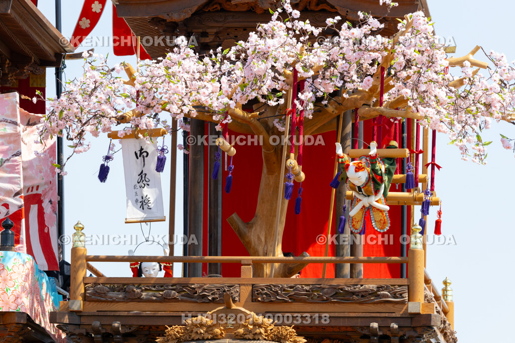 愛知県 亀崎潮干祭(初の日) からくり奉納(花王車)