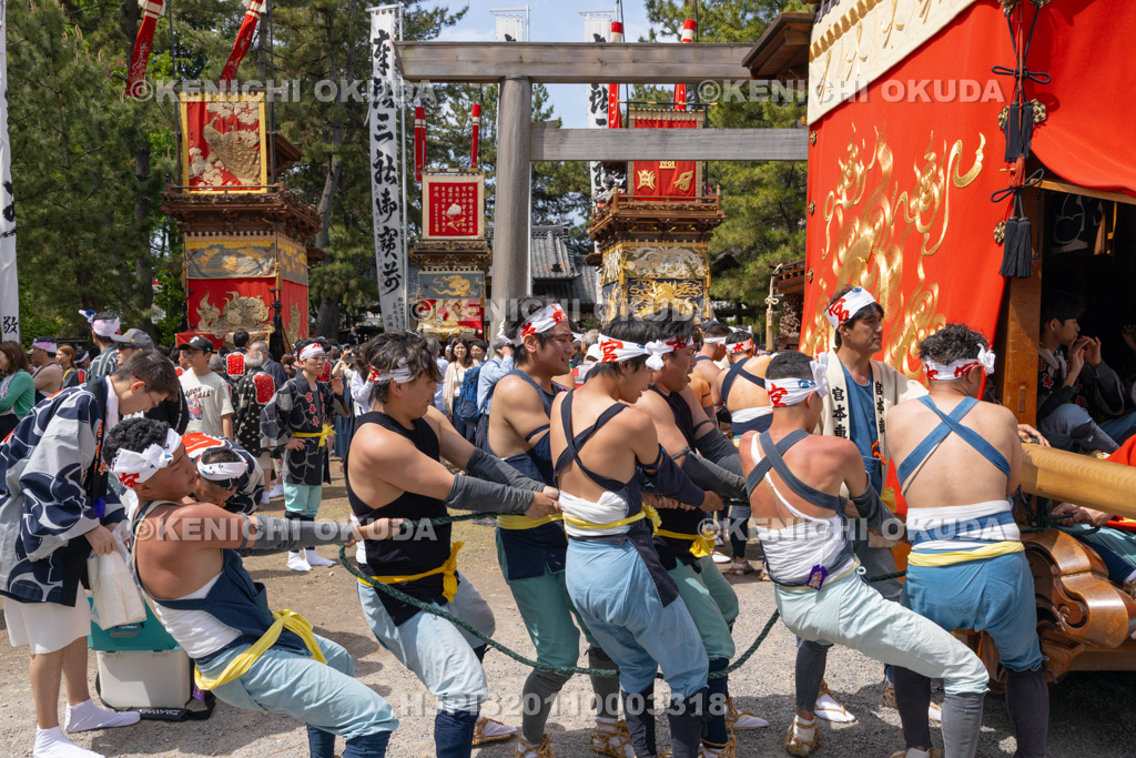愛知県 亀崎潮干祭(後の日) 棒締め(宮本車)