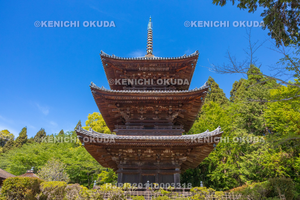 滋賀県　園城寺（三井寺）　三重塔