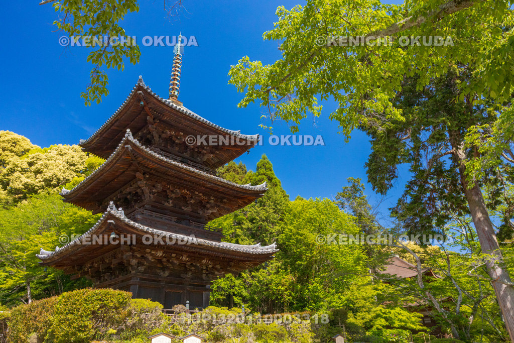 滋賀県　園城寺（三井寺）　三重塔