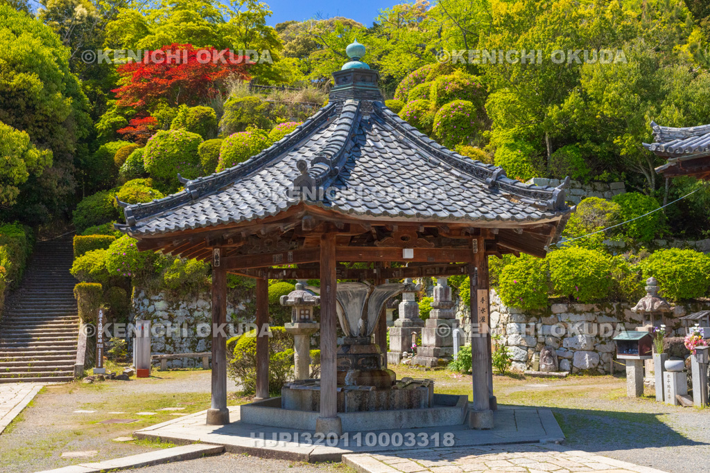 滋賀県　園城寺（三井寺）　札所伽藍　手水舎