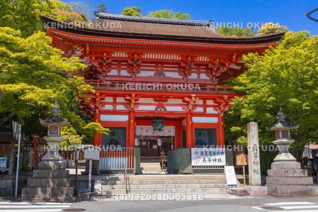 滋賀県　長等神社　楼門