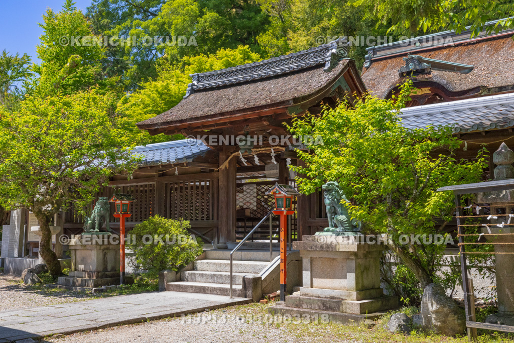 滋賀県　長等神社　本殿と中門