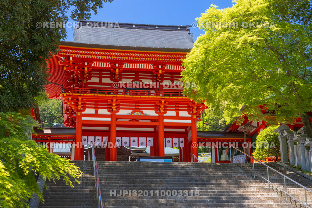 滋賀県　近江神宮　楼門