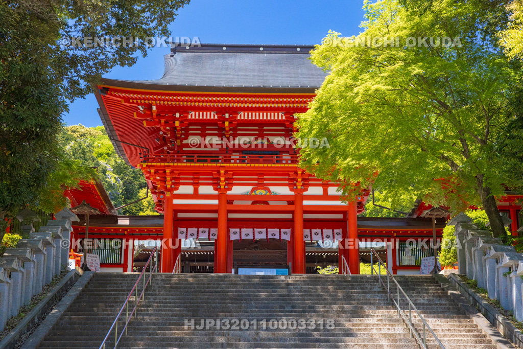 滋賀県　近江神宮　楼門