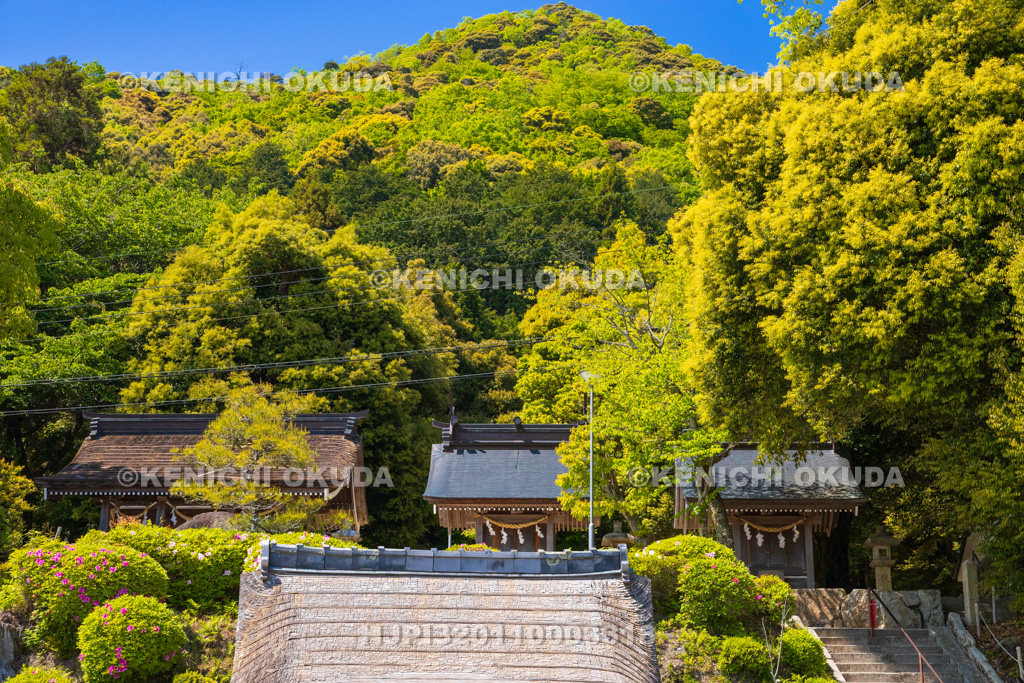 滋賀県 白鬚神社 末社群