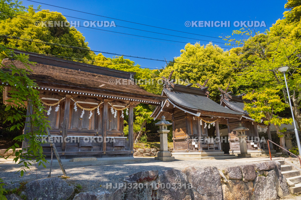 滋賀県 白鬚神社 末社群