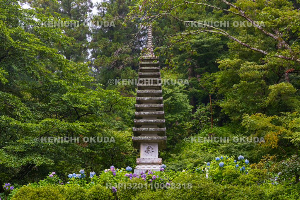 奈良県 大和観音あぢさゐ回廊 岡寺 十三重石塔