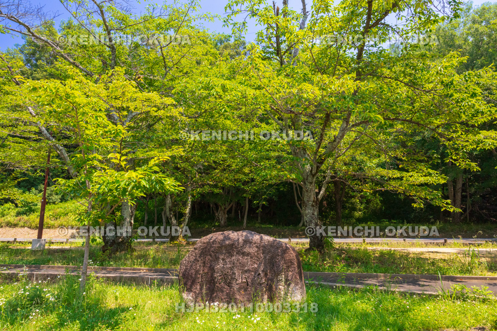 奈良県　耳成山公園