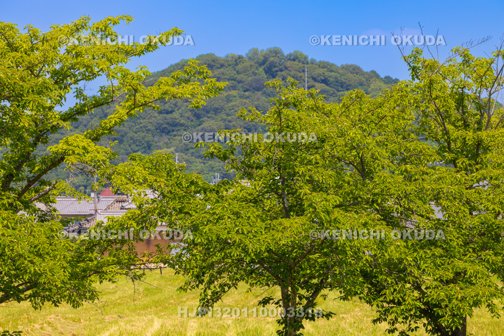 奈良県　藤原宮跡から望む耳成山