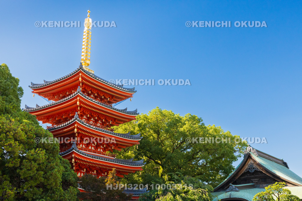 福岡県　東長寺　五重塔と大師堂