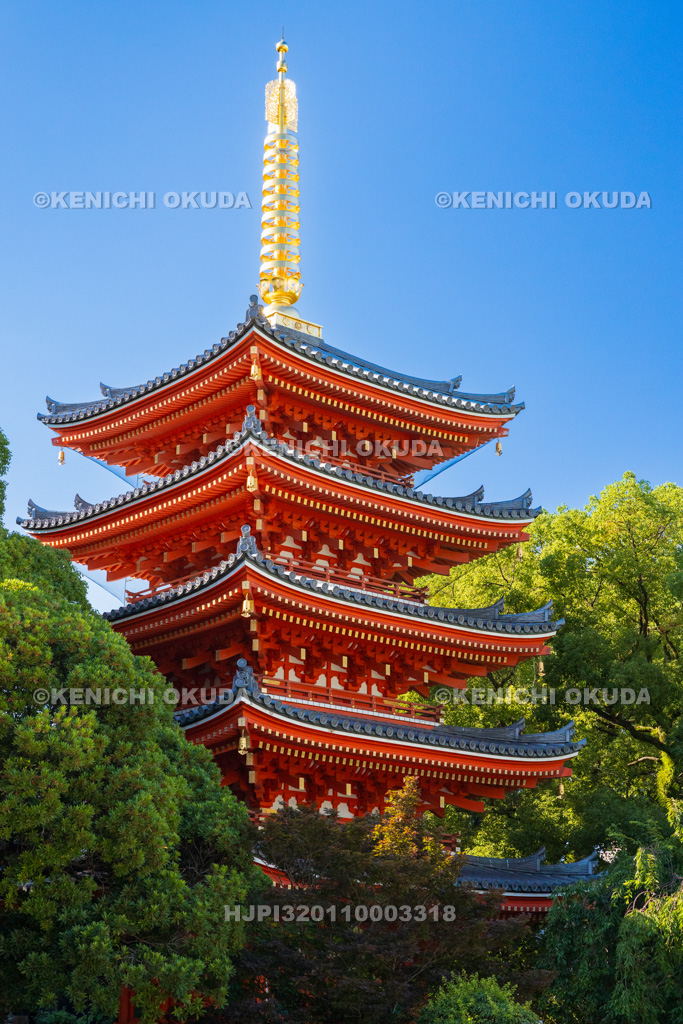 福岡県　東長寺　五重塔