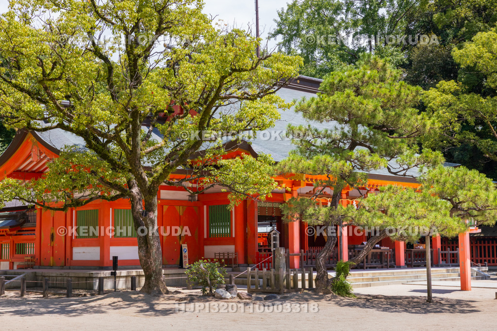 福岡県　住吉神社　拝殿