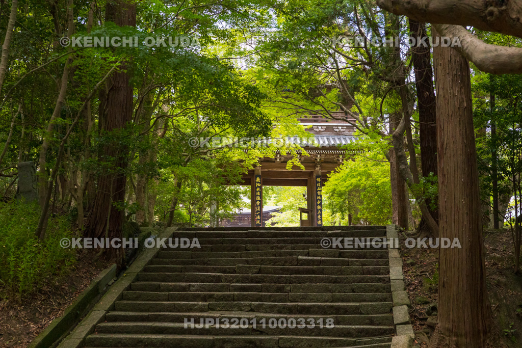 山口県　功山寺　山門と参道