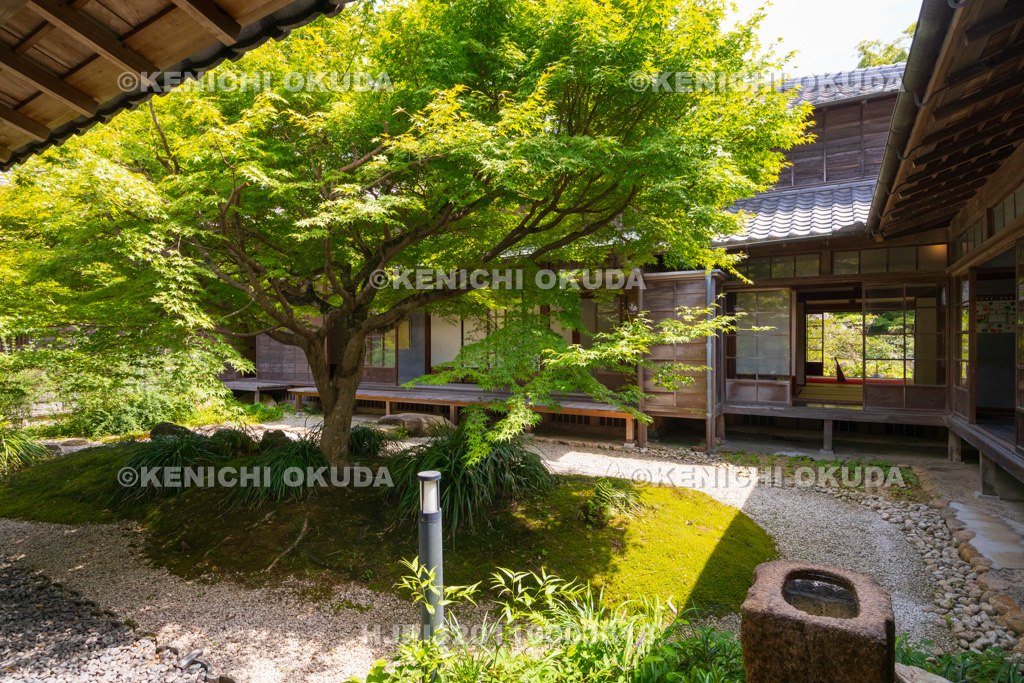 山口県 長府毛利邸 中庭