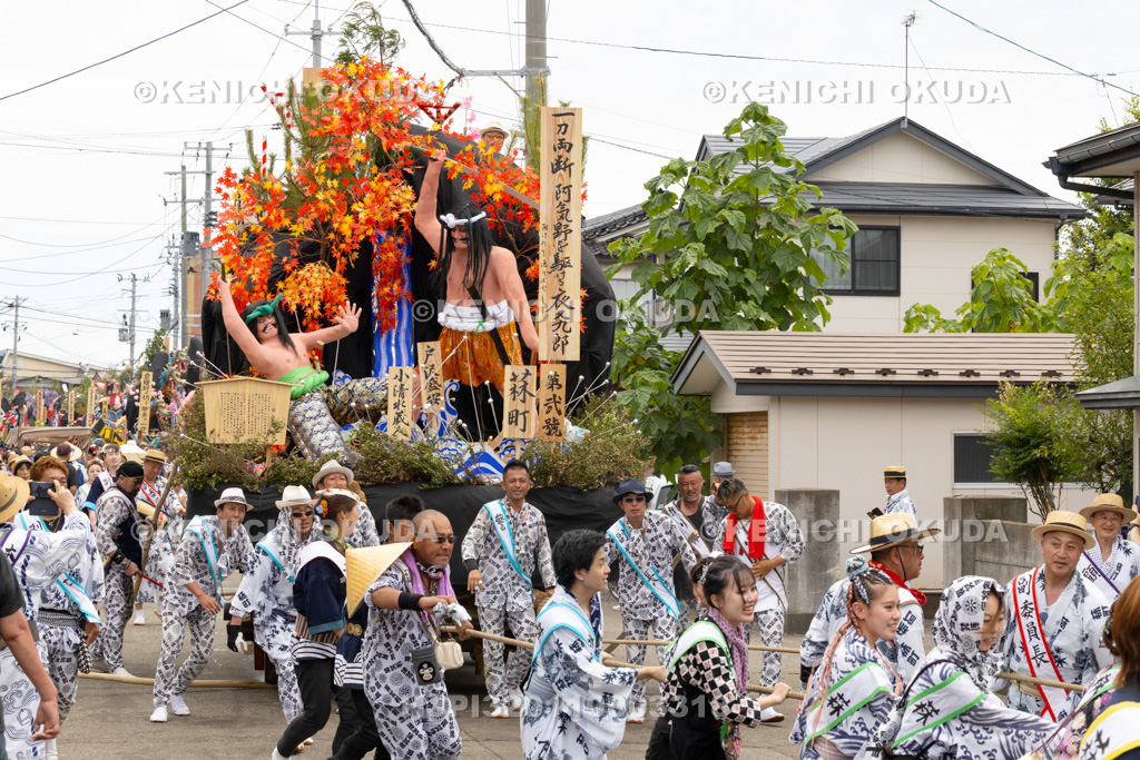 秋田県 土崎神明社祭 曳山行事(本祭) 御幸曳山