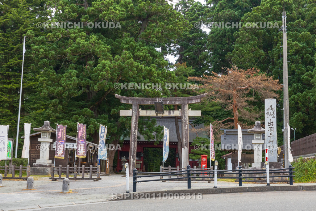 山形県　出羽三山神社（羽黒山）　参道