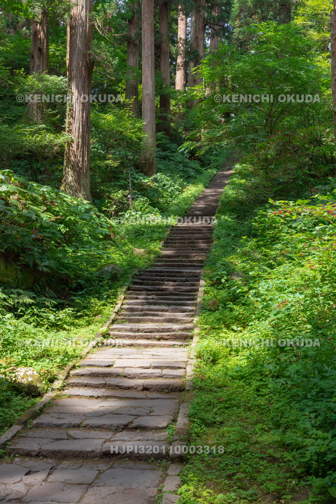 山形県　出羽三山神社（羽黒山）　継子坂