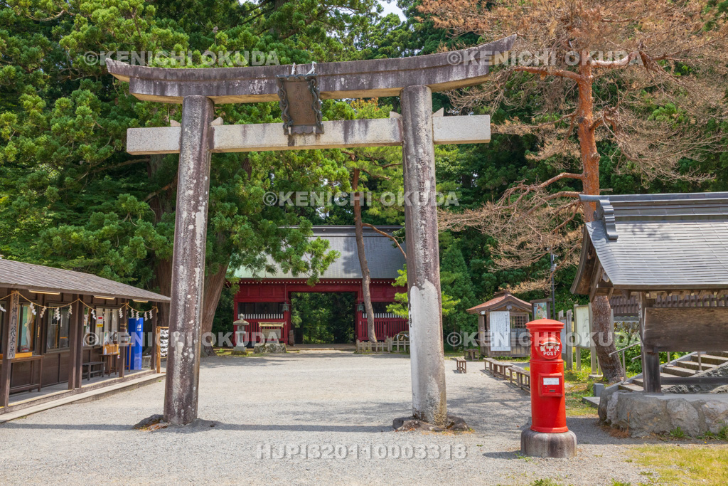 山形県　出羽三山神社（羽黒山）　参道