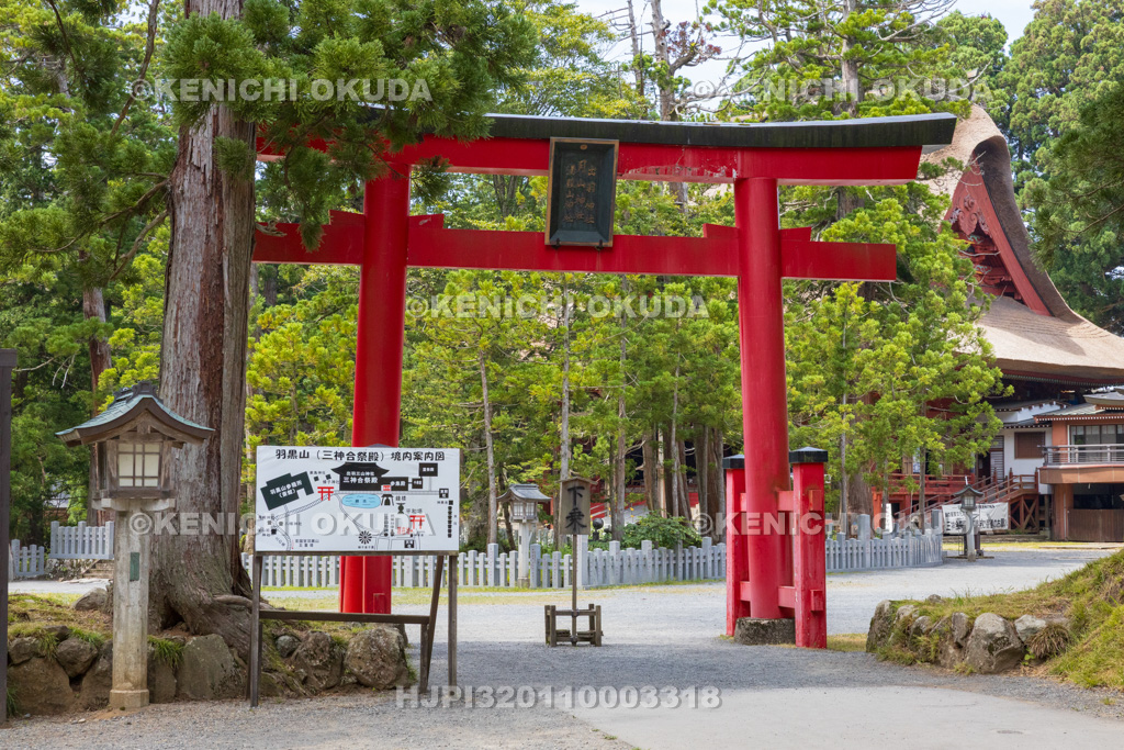 山形県　出羽三山神社（羽黒山）　山頂の鳥居