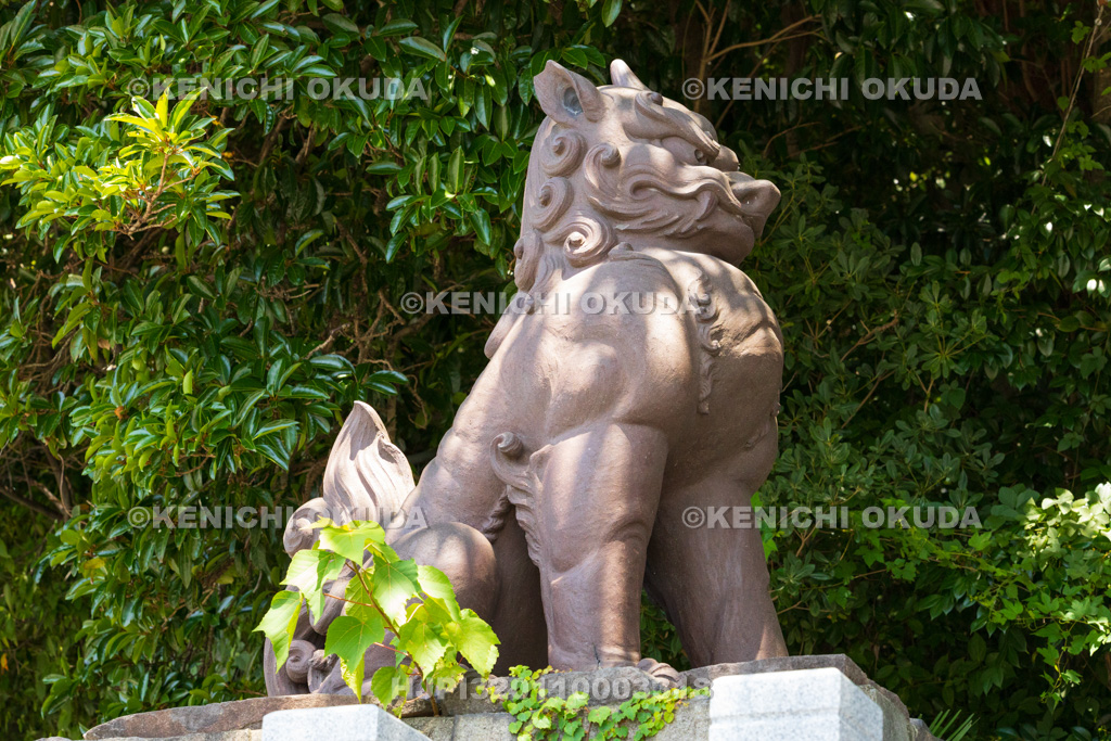 愛知県 神明社 常滑焼の狛犬