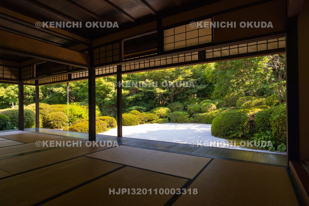 愛知県　丈山苑　南庭（唐様庭園）