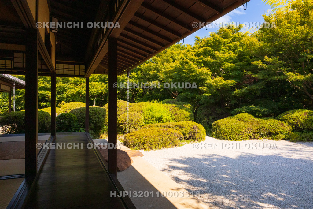 愛知県 丈山苑 南庭(唐様庭園)